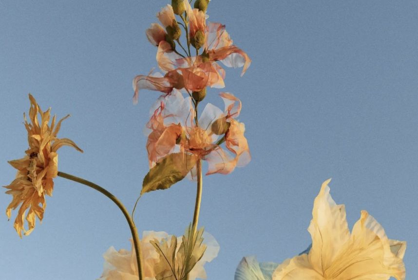 hero-flowers.0181fddb